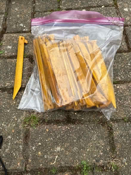 Photo of free Garden stakes (for netting etc) (Watton at Stone SG14) #1