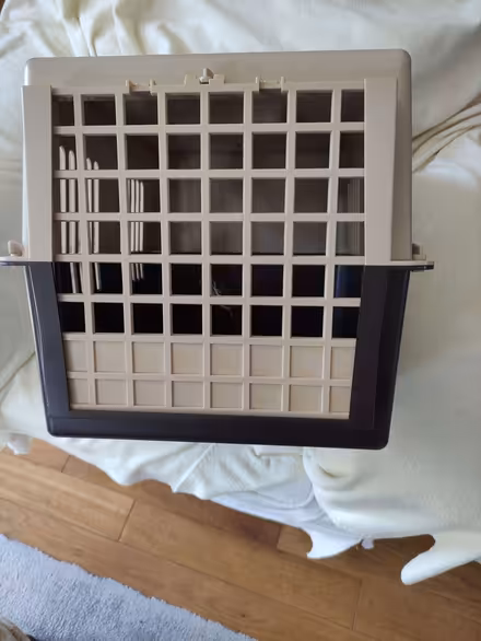 Photo of free Cat Carrier (St Just TR19) #1