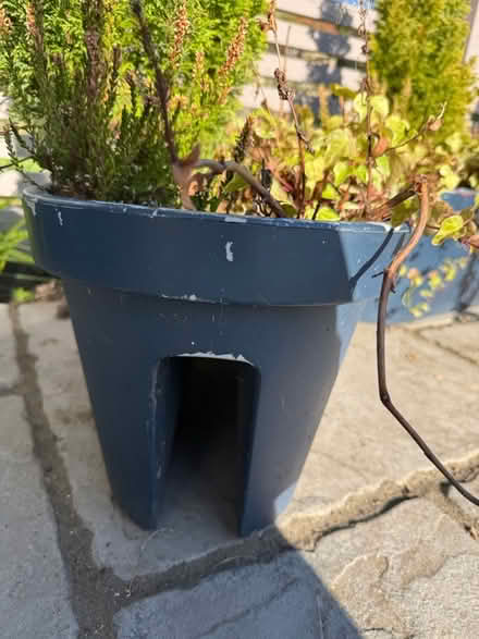 Photo of free 3 bridge planters (Balgreen EH12) #2