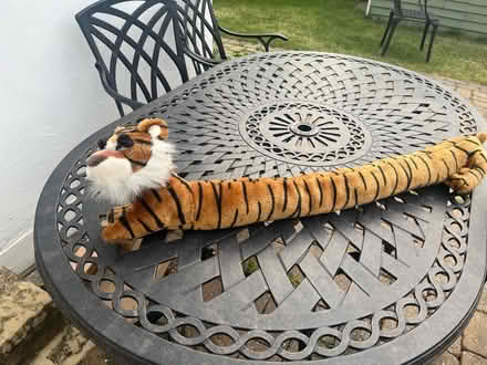 Photo of free Tiger draft excluder (E18) #2