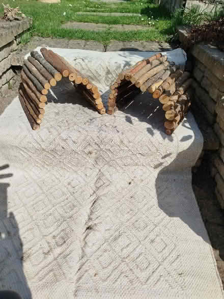 Photo of free Small Pet Igloo (Catton NR6) #1