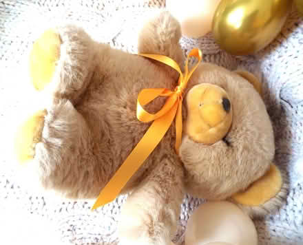 Photo of free Large vintage teddy bear Lovely, clean, fluffy condition (Bingham NG13) #4