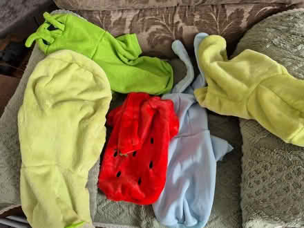 Photo of free Dog coats with hoods (N17 the roundway) #1