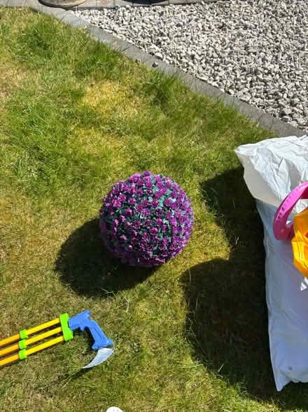 Photo of free topiary ball (CV3) #1