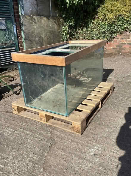 Photo of free Fish tank (Long Marton CA16) #2