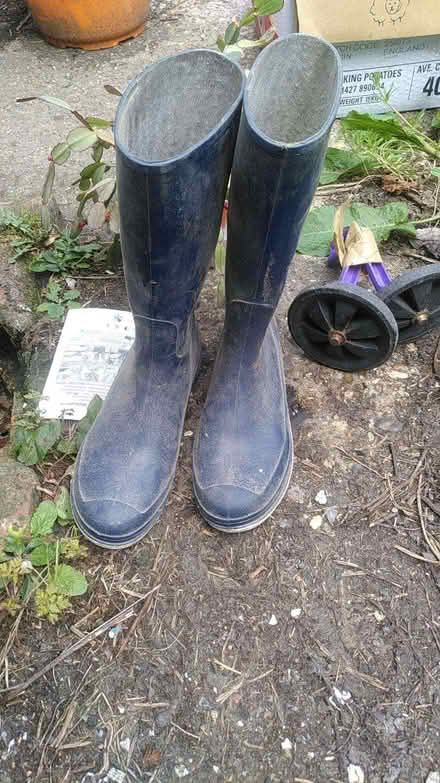 Photo of free Ladies Wellies Size 5 (CT6) #1