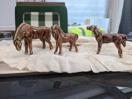 Photo of free Horse ornaments (Oakdale, Poole BH15) #1