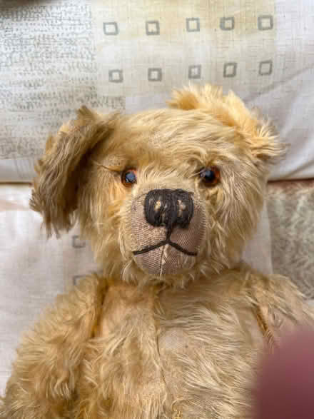 Photo of free Old teddy bear and toys for restoration (Lancing BN15) #2
