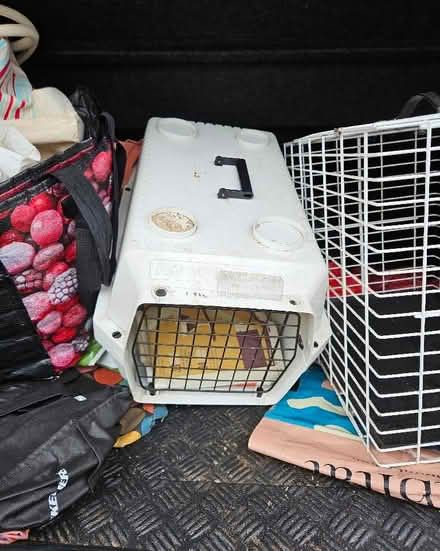 Photo of free Pet carriers (Chells SG2) #2