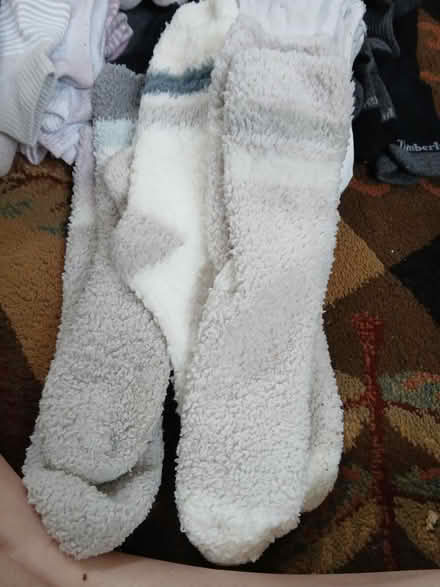 Photo of free Lots of LEMON SOCKS (Juan tabo and Lomas) #1