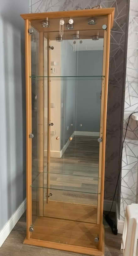 Photo of free Light-Up Display/Book Case Cabinet (CT11) #1