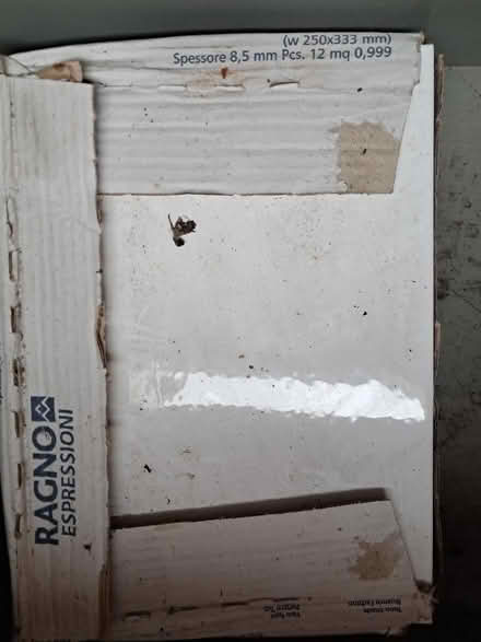 Photo of free 8 white tiles (Dunton Green TN13) #1