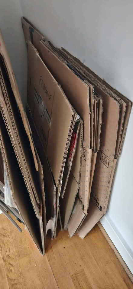 Photo of free Moving boxes (Millwall E14) #1