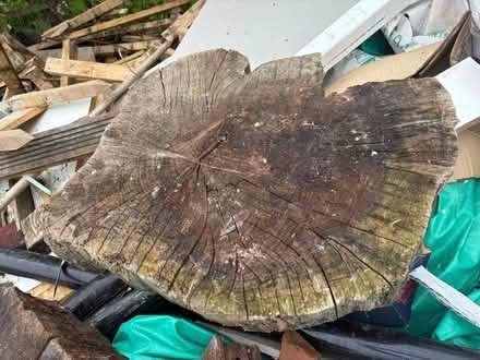 Photo of free Two pieces of tree trunk (Borrowash DE72) #1