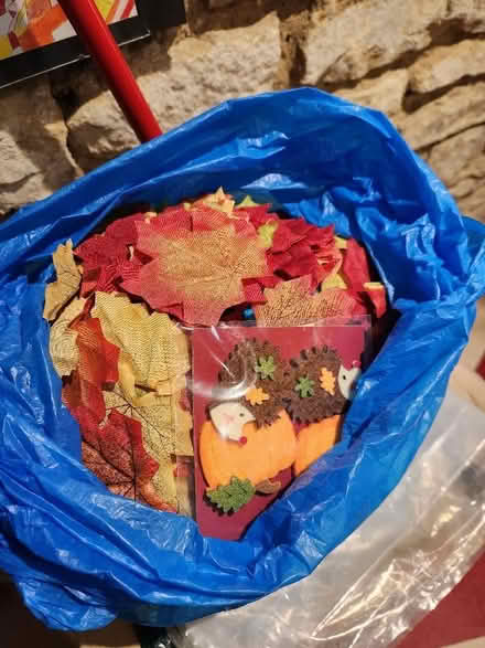 Photo of free Decorative leaves (Noke OX3) #1