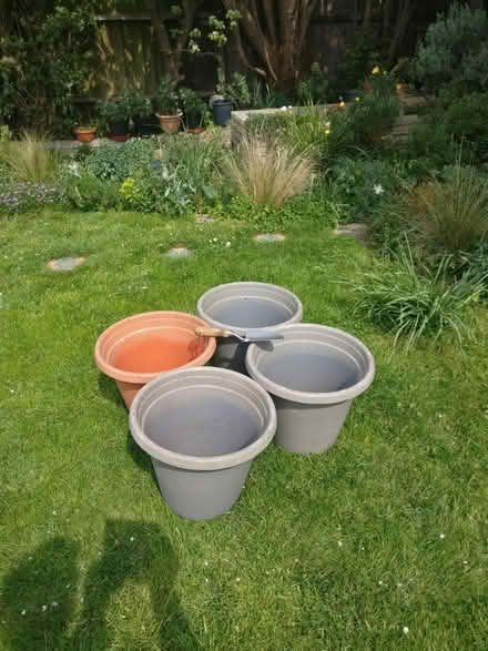 Photo of free 4 large matching plant pots (Thorpe Bay SS1) #1
