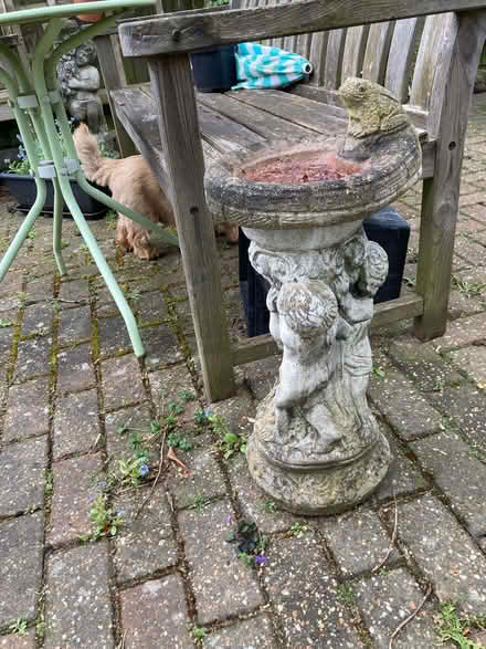Photo of free 8 x Garden Ornaments (Old Town SG1) #3
