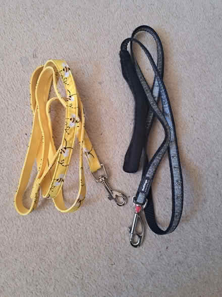 Photo of free Cart harness and lead (Musselburgh EH21) #3