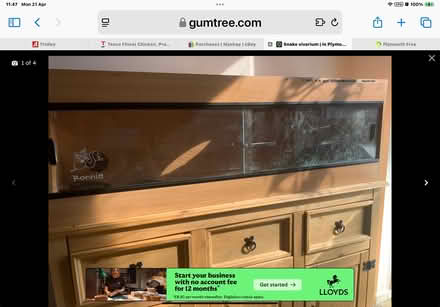 Photo of free 4ft vivarium (Plymouth PL1) #1
