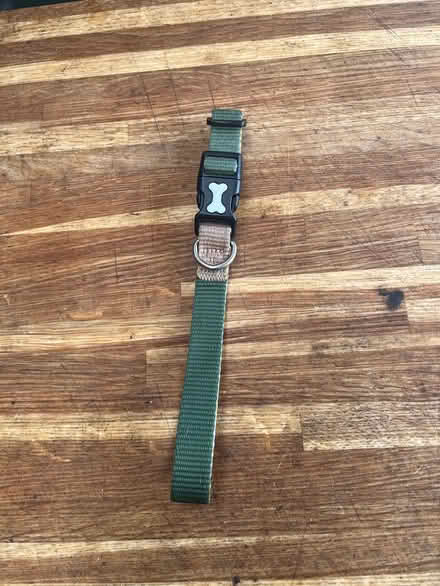 Photo of free Green Dog Collar (Littlemore OX4 4) #2
