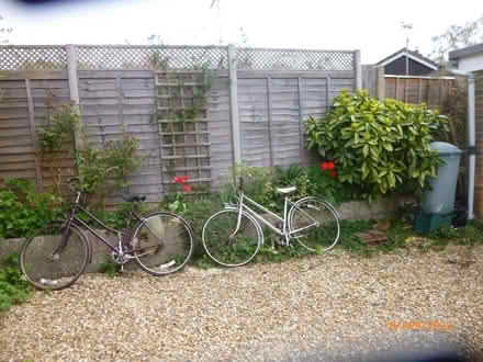 Photo of free Two old bikes (Petersfield GU31) #1