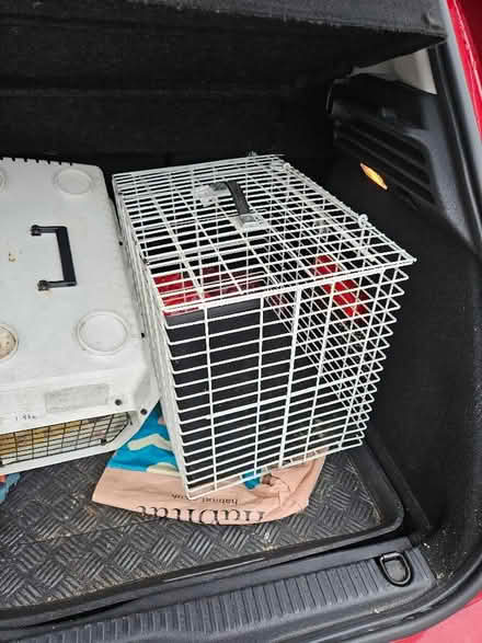 Photo of free Pet carriers (Chells SG2) #1