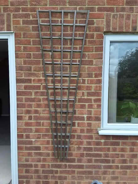 Photo of free Fan type plant trellis (Chineham RG24) #1