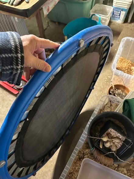 Photo of free mini trampoline (wedgwood) #2