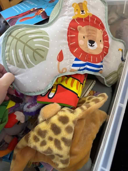 Photo of free Playmat, toys and some clothes (Chiltern District) #3