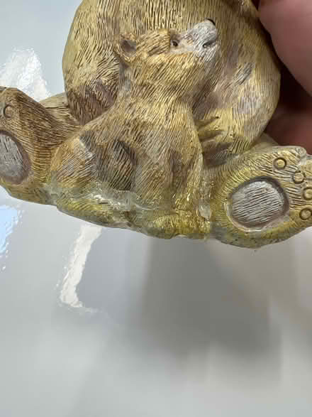 Photo of free Cute bear bottle (LU3) #2