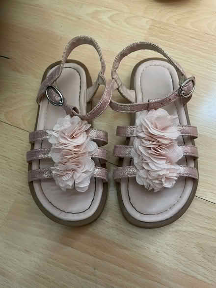 Photo of free Girls clothing and toys (Ashburton SE25) #3