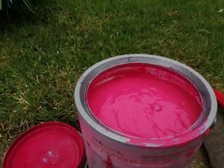 Photo of free Paint. Emulsion. (Isfield BN8) #1