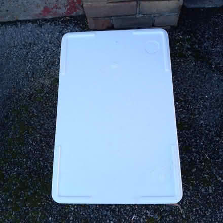 Photo of free Polystyrene box with 4 ice packs (Worcester Park) #1