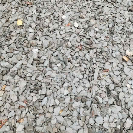 Photo of free Chipped grey slate (Benslow SG4) #1