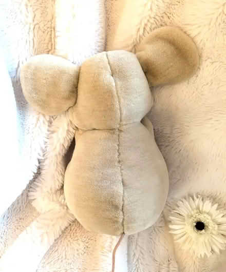 Photo of free Vintage 90 Large plush beige Cuddly toy Mouse Birthdays Bur (Bingham NG13) #3