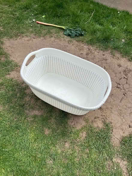 Photo of free Washing basket (ME13) #1