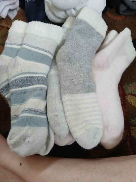 Photo of free Lots of LEMON SOCKS (Juan tabo and Lomas) #3