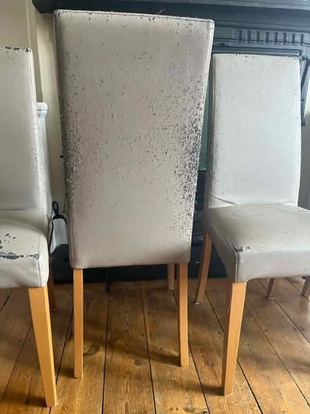Photo of free 5 John Lewis dining chairs (London, Alexandra Palace N22) #2
