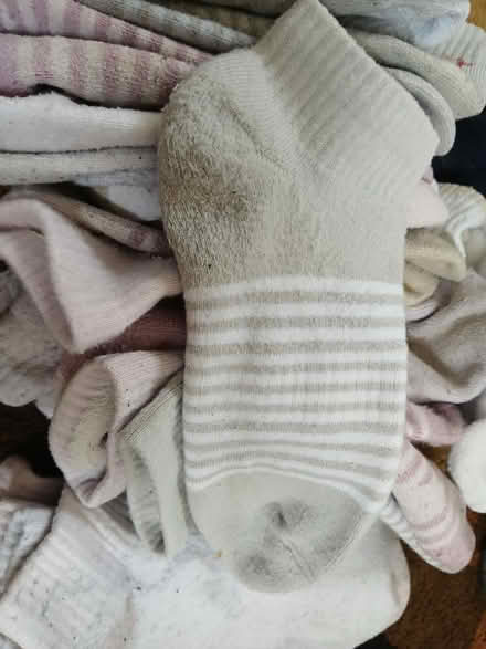 Photo of free Lots of LEMON SOCKS (Juan tabo and Lomas) #4