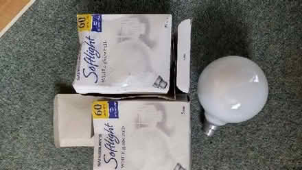 Photo of free 2 x 60w 95mm (large) light bulbs (Longbarn WA2) #1