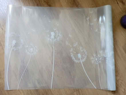 Photo of free Dandelion window film (Top Amersham HP6) #1