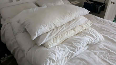Photo of free Used bedding: double duvet & 3 pillows (Mousehold NR3) #1