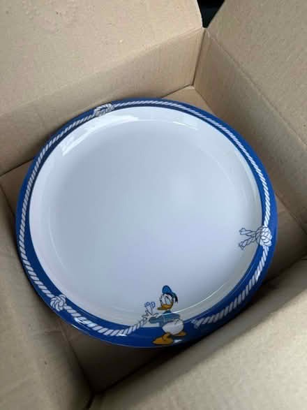 Photo of free 6 medium size plastic plate new (Cumnor OX2) #1