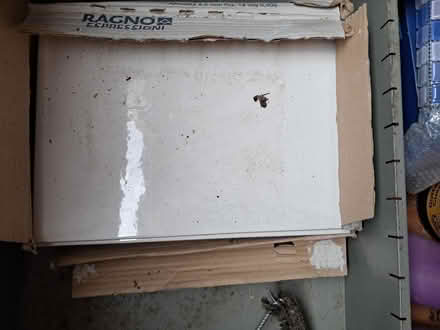 Photo of free 8 white tiles (Dunton Green TN13) #2