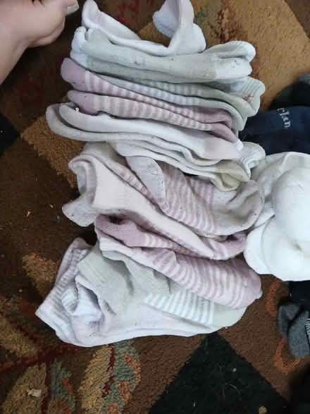 Photo of free Lots of LEMON SOCKS (Juan tabo and Lomas) #2