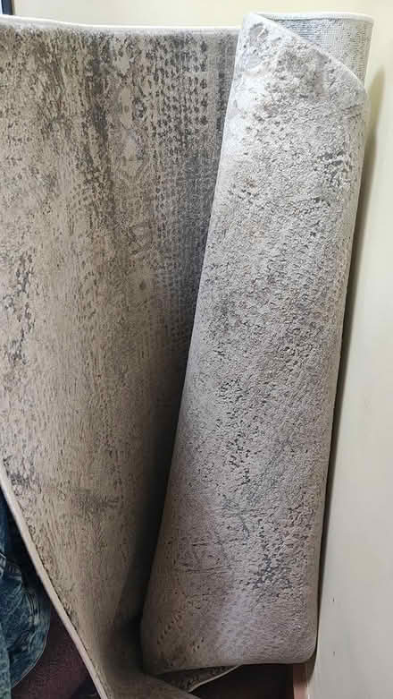 Photo of free Grey large rug (Egham TW20) #1