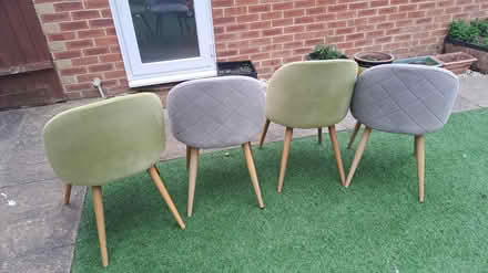 Photo of free Dining Chairs (Whiteley PO15) #2