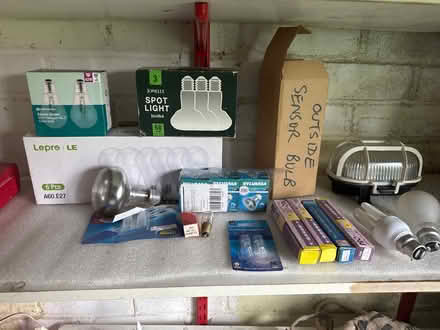 Photo of free Light bulbs (HP16) #1