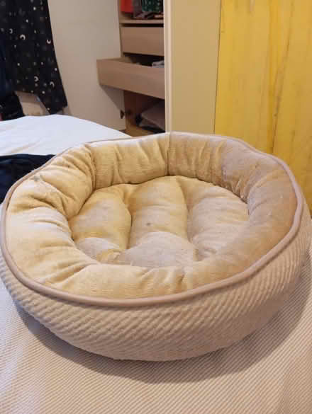 Photo of free Cat bed (Woolwich SE18) #1