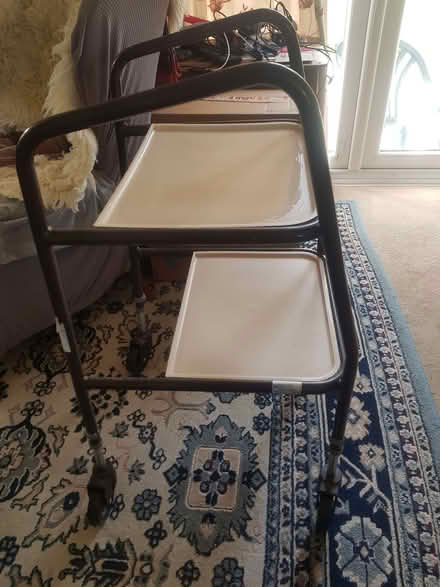 Photo of free Full size Trolley (Dolley Green LD8) #2